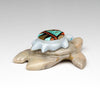Journeying Turtle Pair