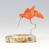 Nectar-Sipper Hummingbird
