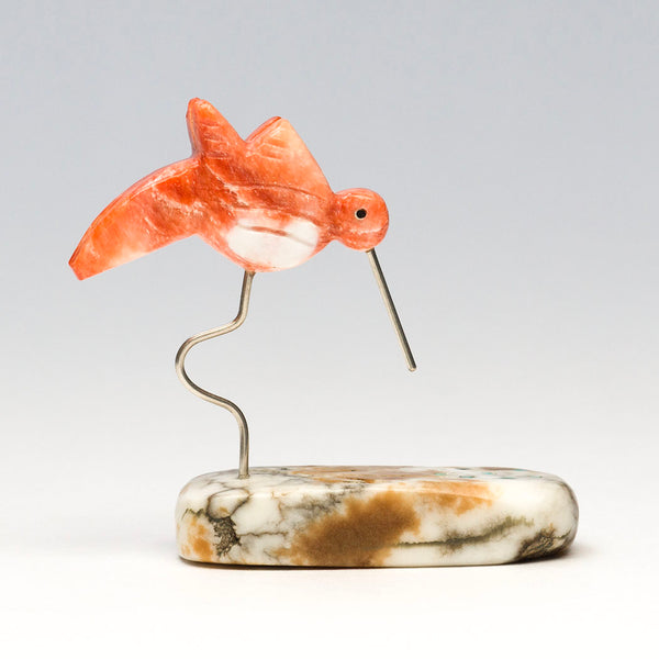 Nectar-Sipper Hummingbird