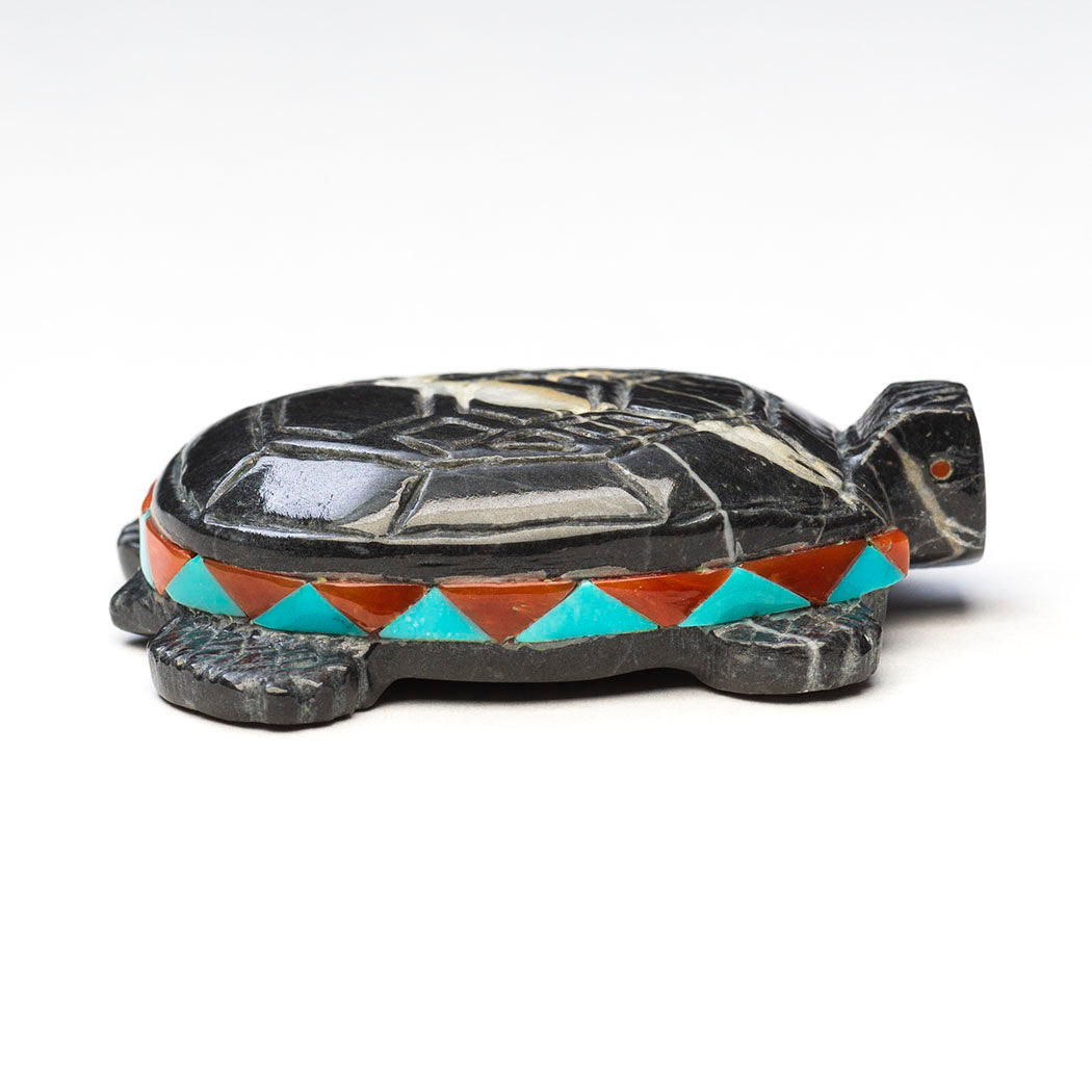 All My Relations Turtle