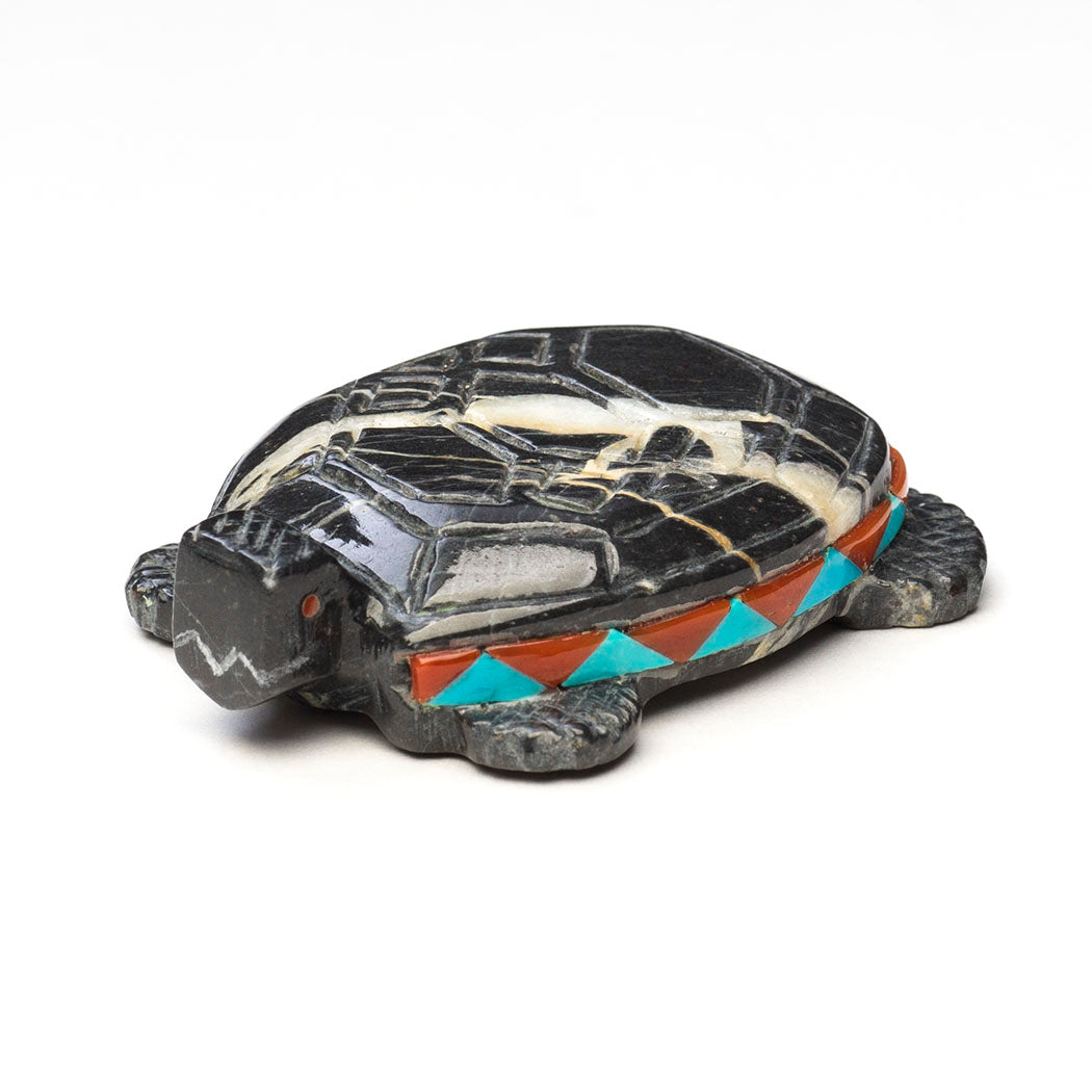 All My Relations Turtle