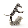 Playful Dalmatian
