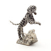 Playful Dalmatian