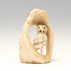 Nature's Fortress Owl