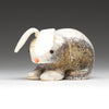 Little Tracks Rabbit