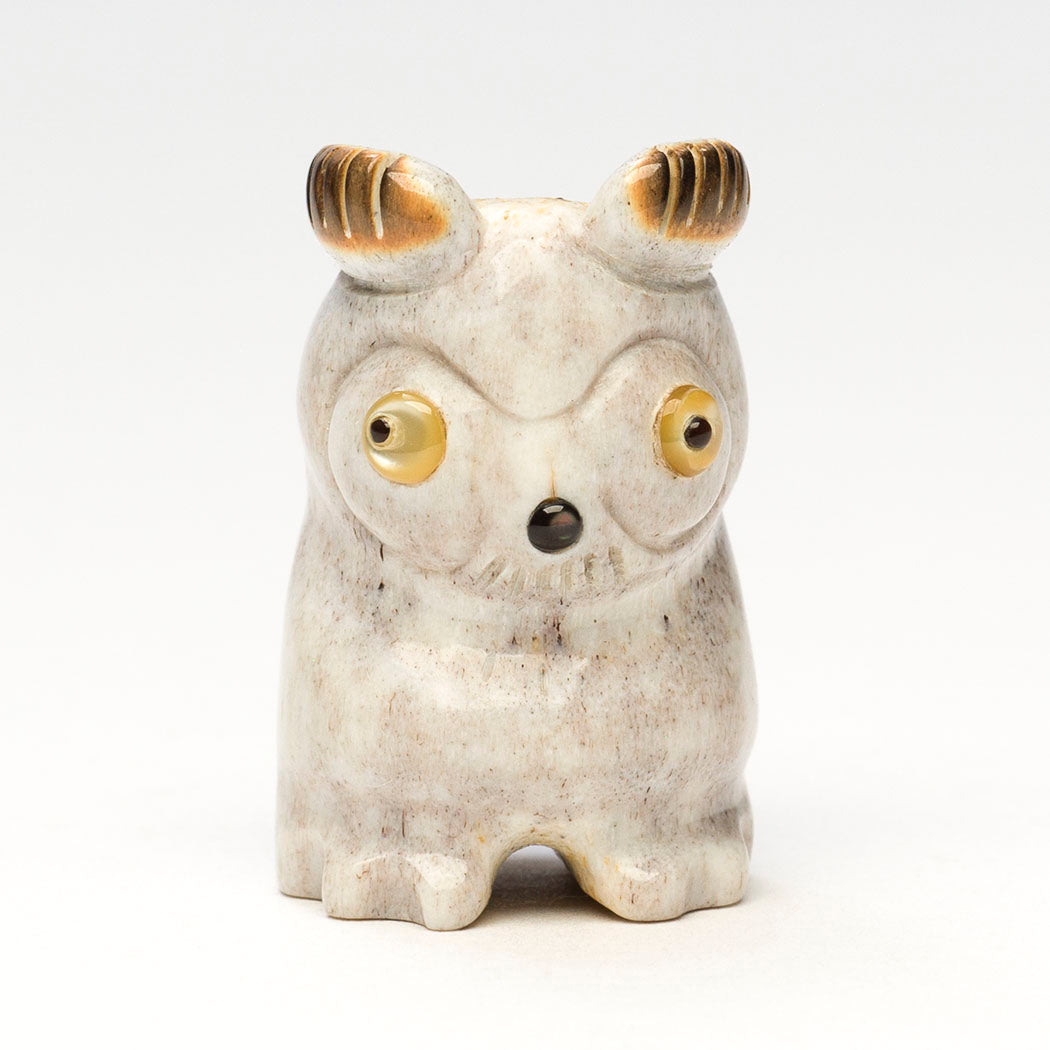 Whiskered Screech Owlet