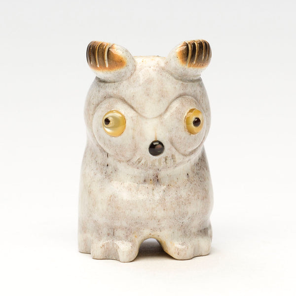 Whiskered Screech Owlet