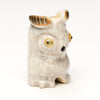 Whiskered Screech Owlet