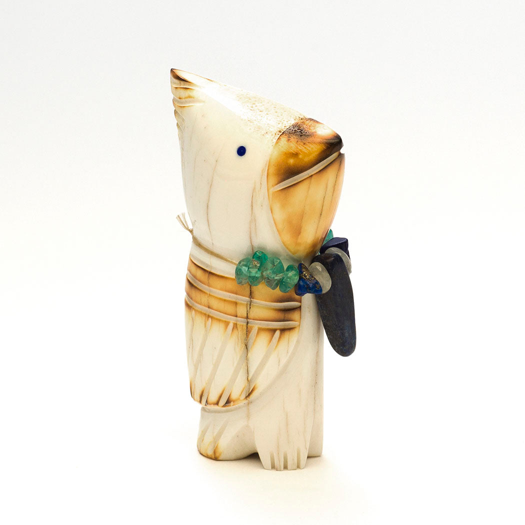 Charismatic Piñon Jaybird