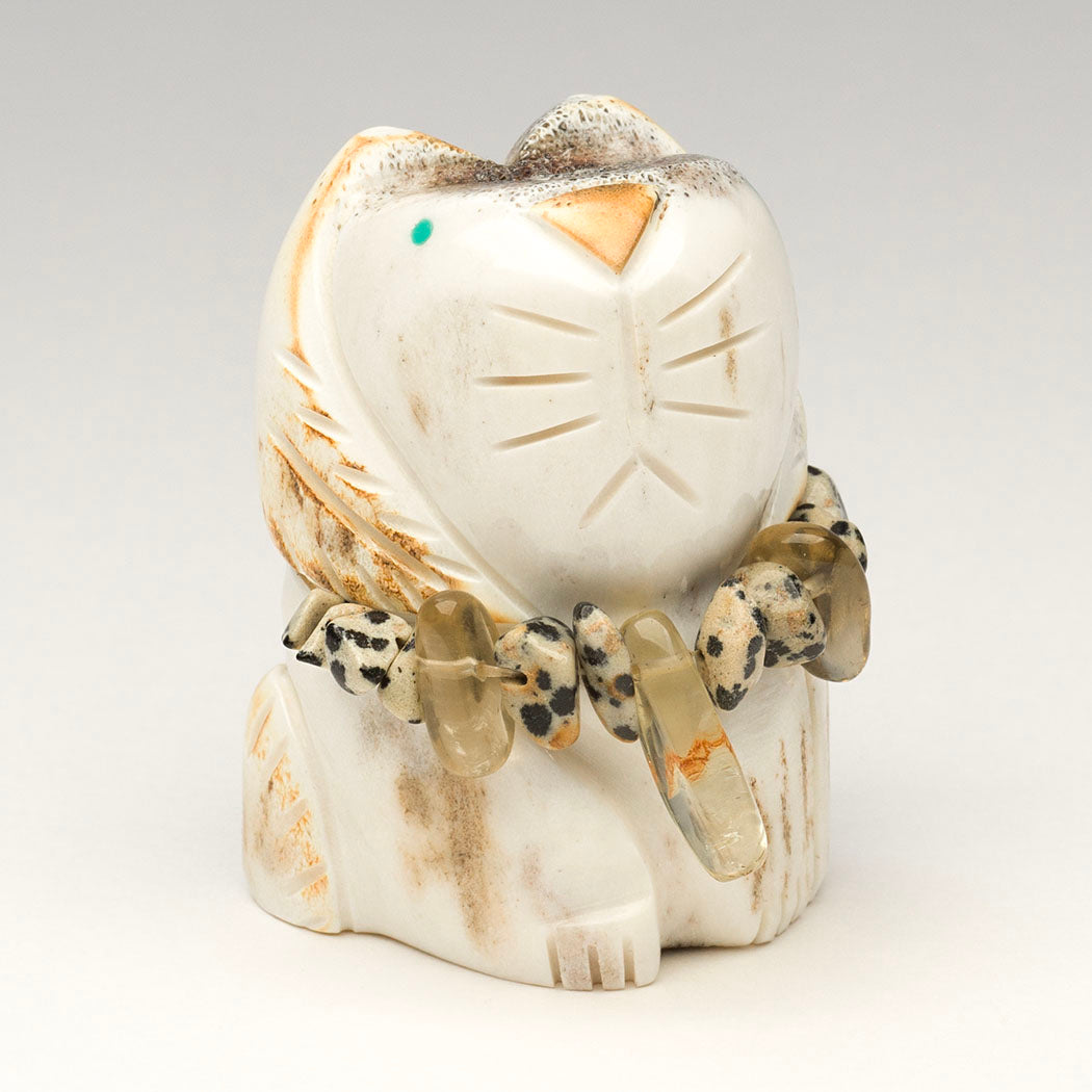 Shed Antler Wildcat