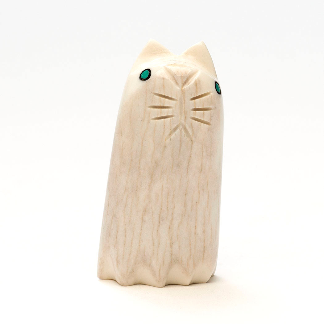 Spooky Kitty