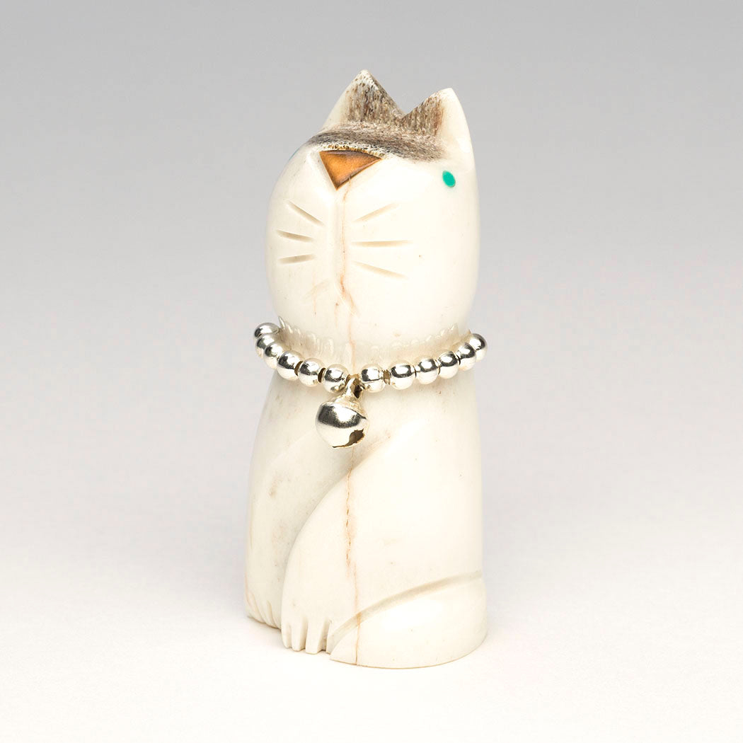 No Place Like Home Kitty Cat