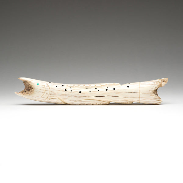 Spring Chinook Salmon