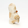 Barn Owl