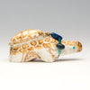 Ancestor Turtle