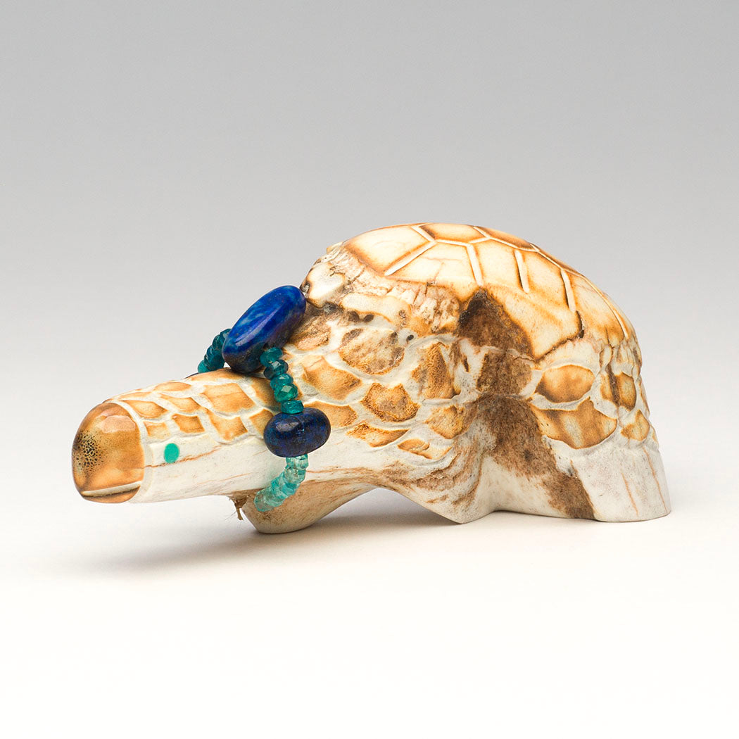 Ancestor Turtle
