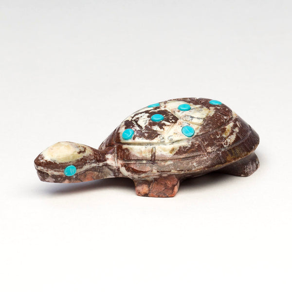 Win The Race Of Life Turtle