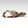 Win The Race Of Life Turtle
