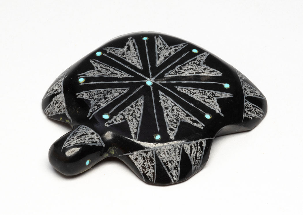 Perfectly Patterned Turtle