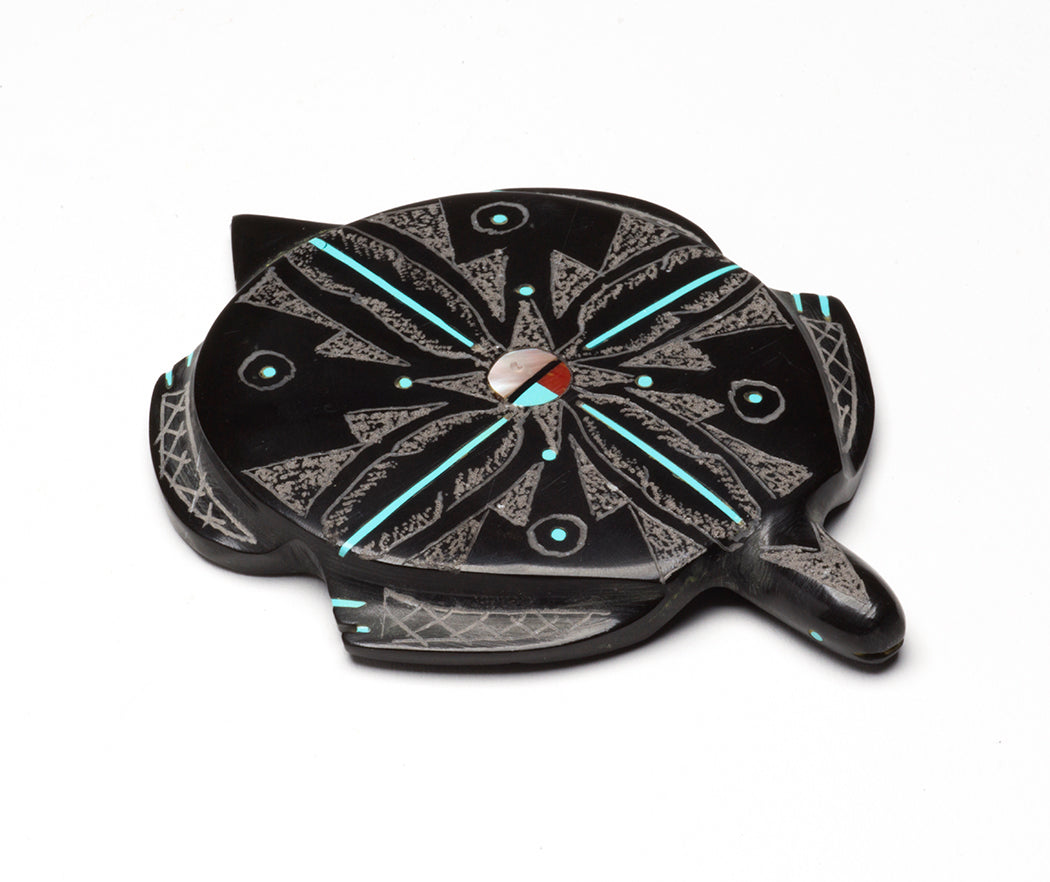 Fancy Pueblo Turtle