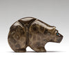 Ancient Corallite Bear