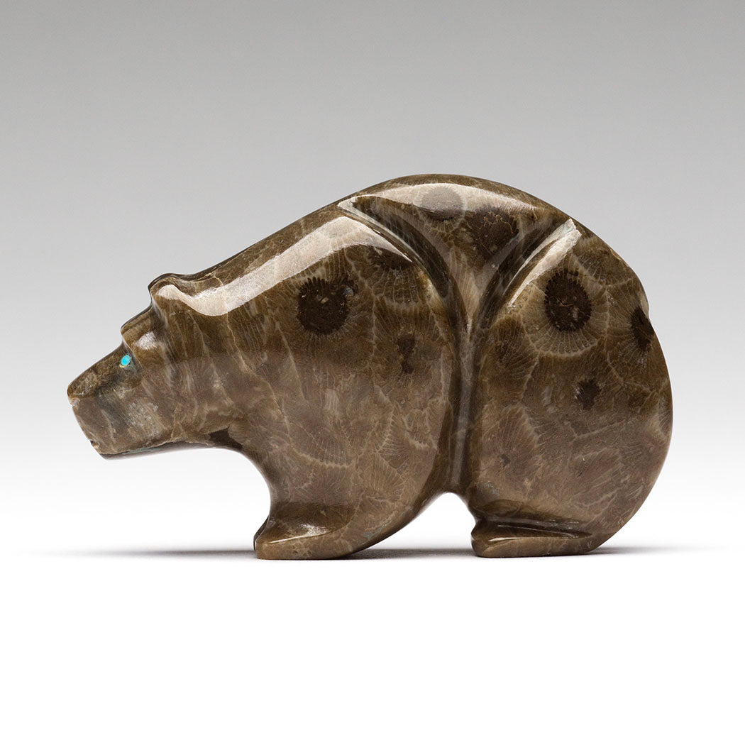 Ancient Corallite Bear