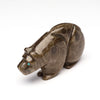 Ancient Corallite Bear