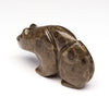 Ancient Corallite Bear
