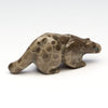 Spotted Leopard