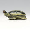 Sea Turtle Sanctuary