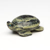Sea Turtle Sanctuary