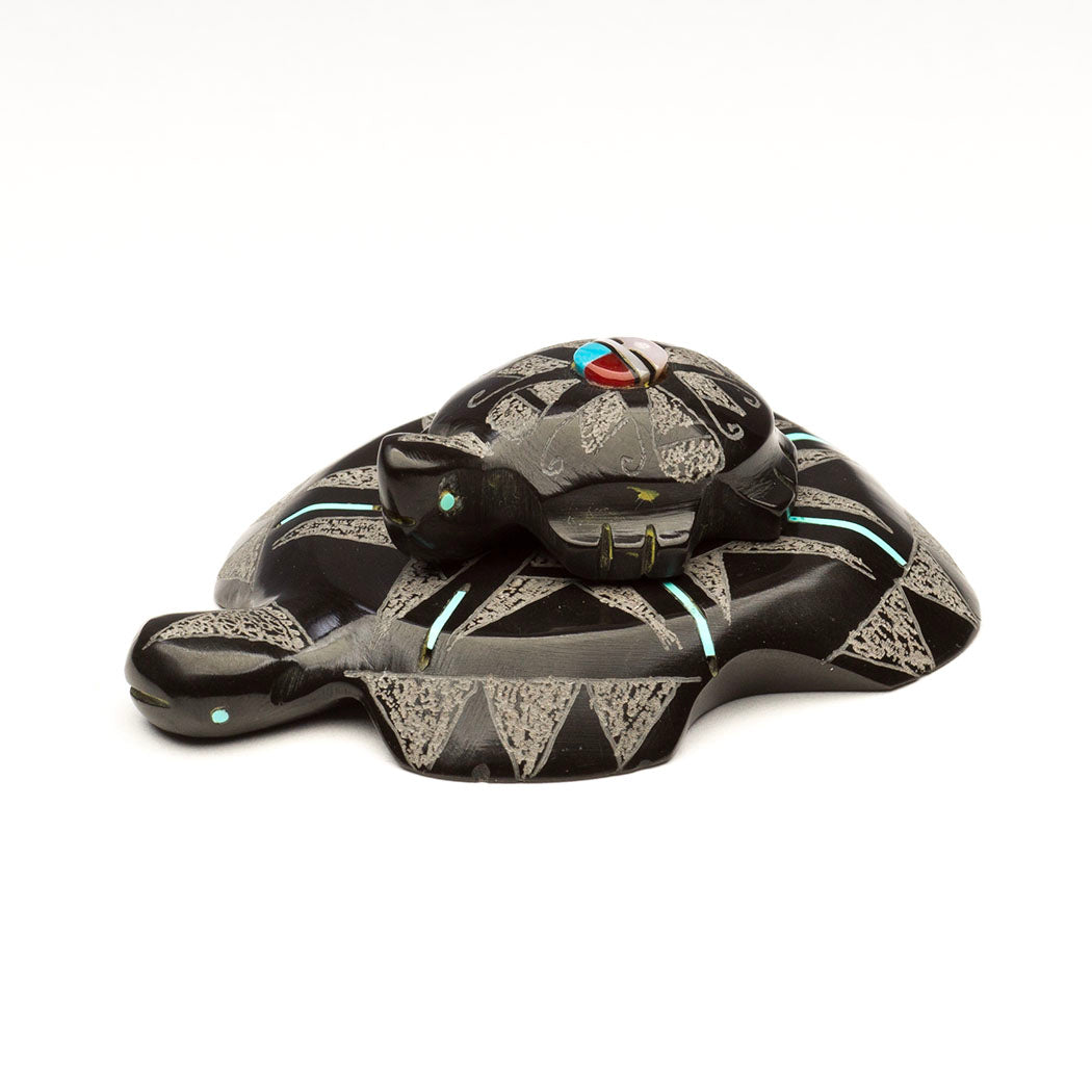 Sunface Turtle Pair