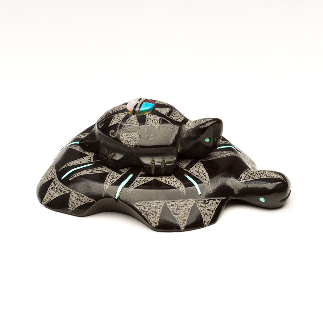 Sunface Turtle Pair