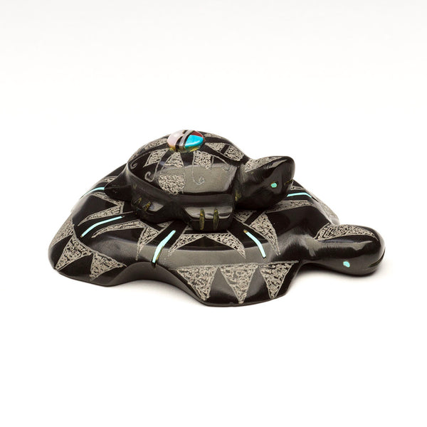 Sunface Turtle Pair