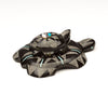 Sunface Turtle Pair