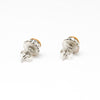 Timeless Glow Gold Lip Shell Stud Earrings