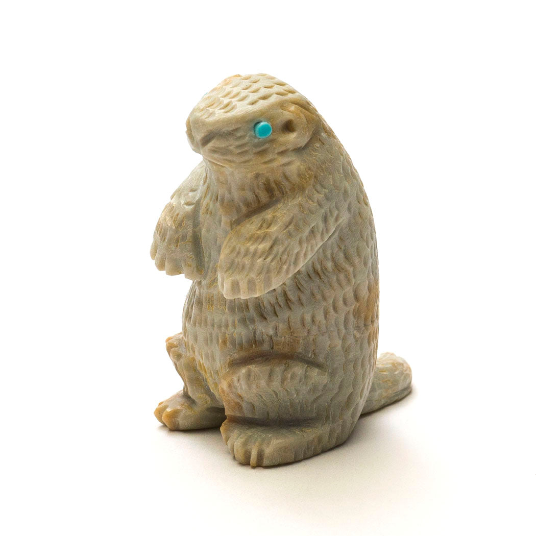 Prairie Dog