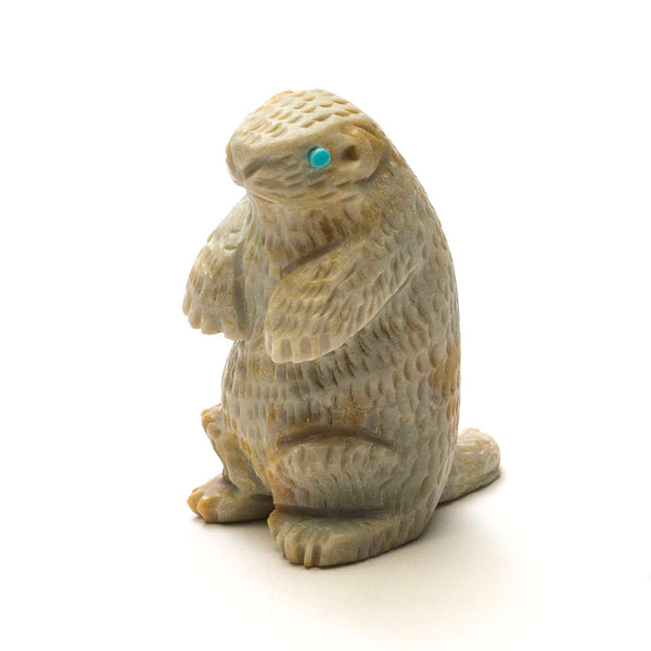 Prairie Dog