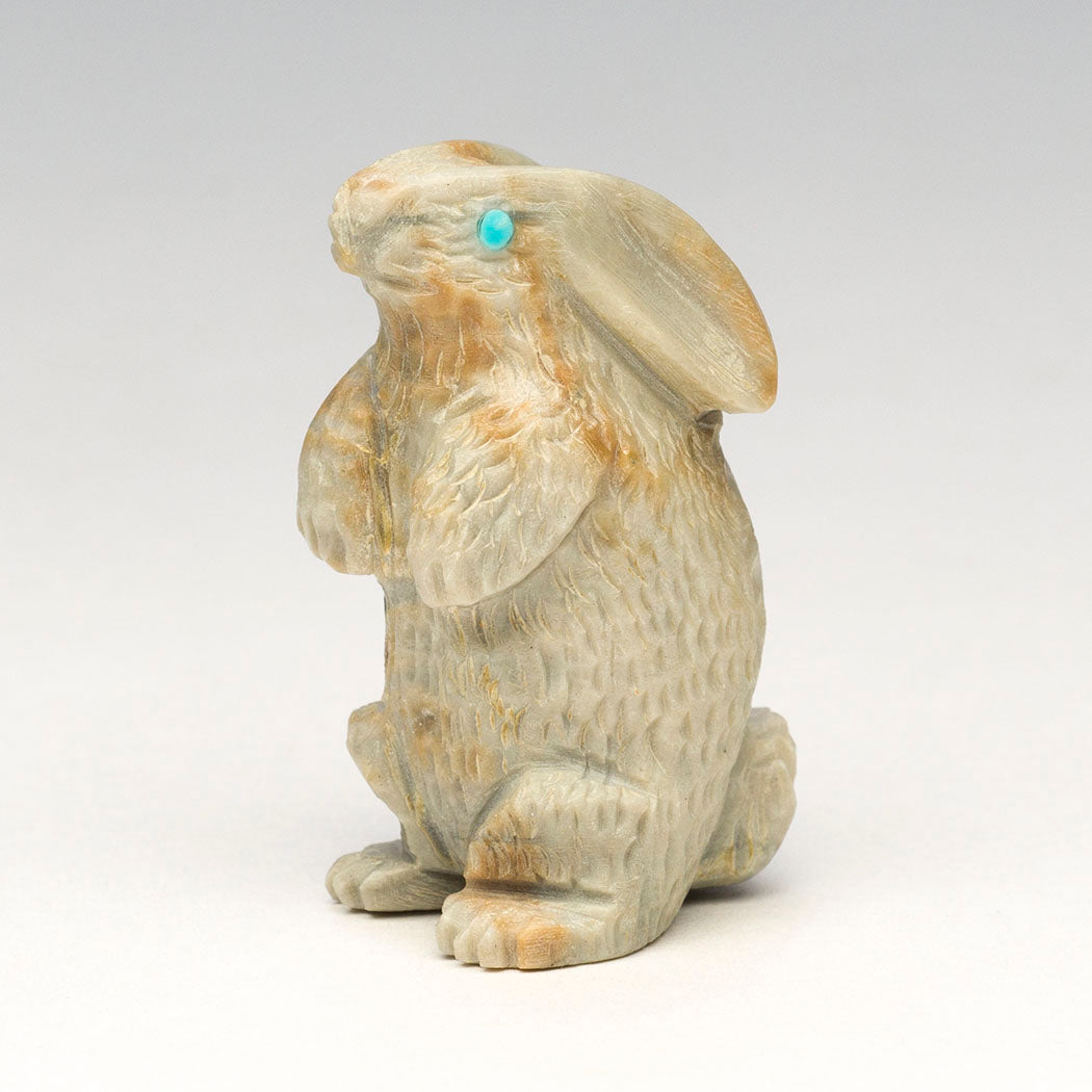 Red Willow Cottontail