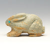 Garden-Variety Cottontail