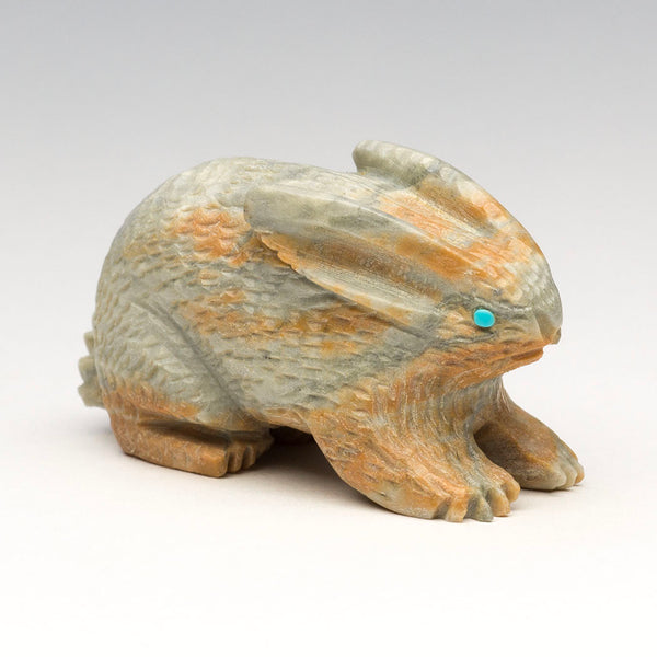 Garden-Variety Cottontail