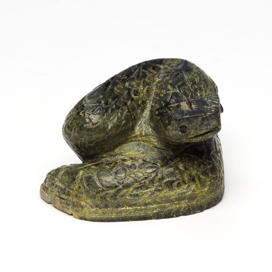 Diamondback Rattlesnake