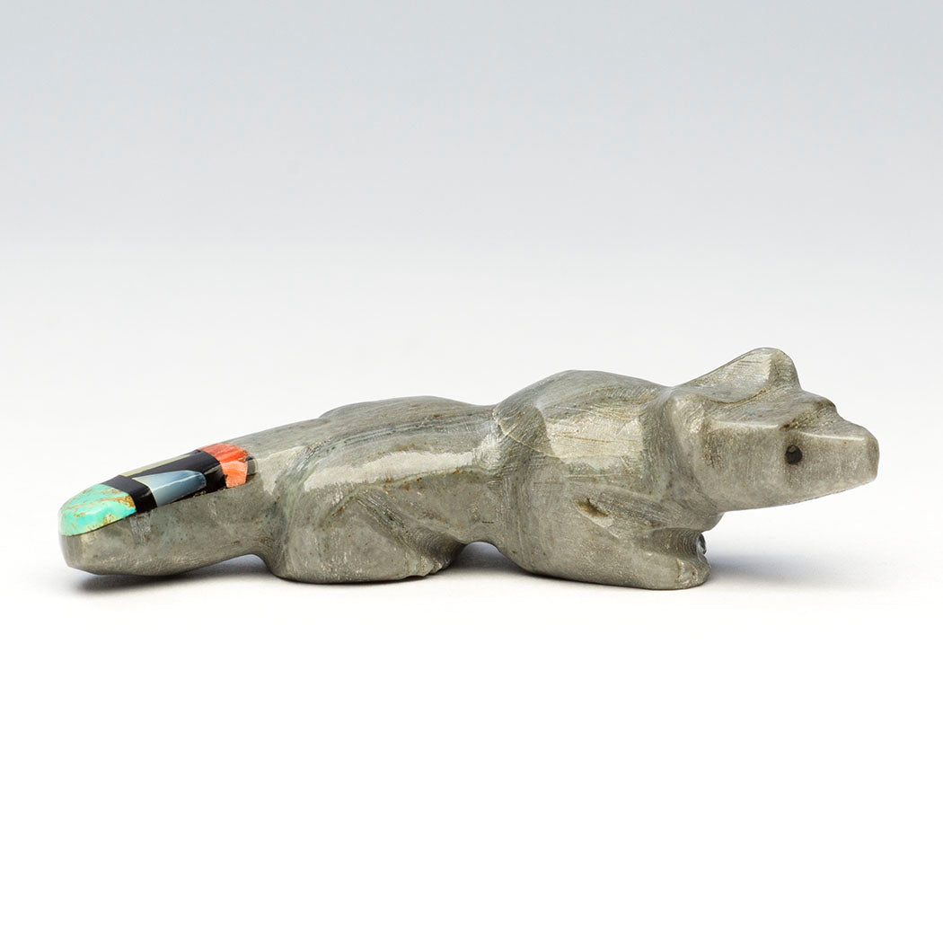 Mosaic-Tailed Wild Canine