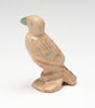 Wild Parrot