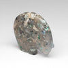 Confetti Chrysocolla Medicine Bear