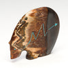 Medicine Bear Imagination