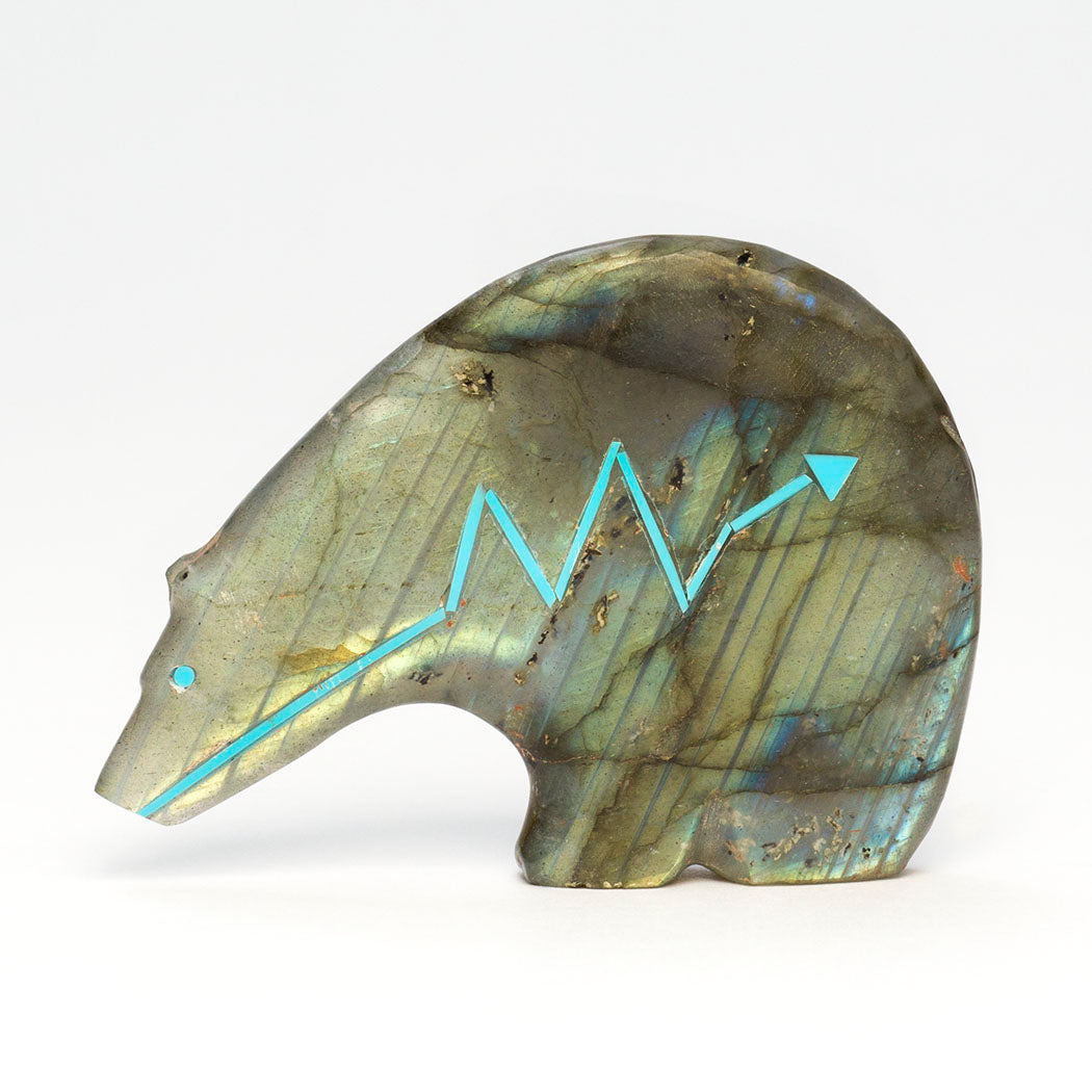 Northern Lights Medicine Bear