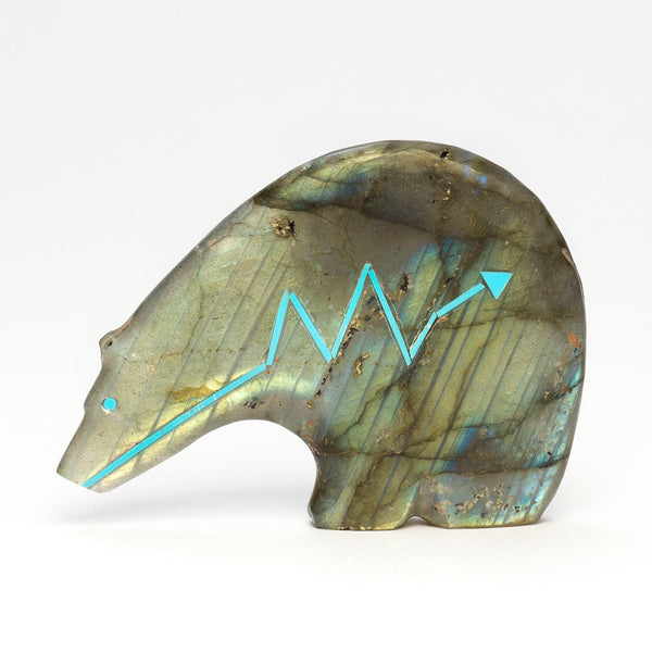 Northern Lights Medicine Bear