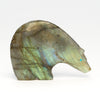 Northern Lights Medicine Bear