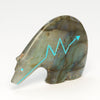 Northern Lights Medicine Bear